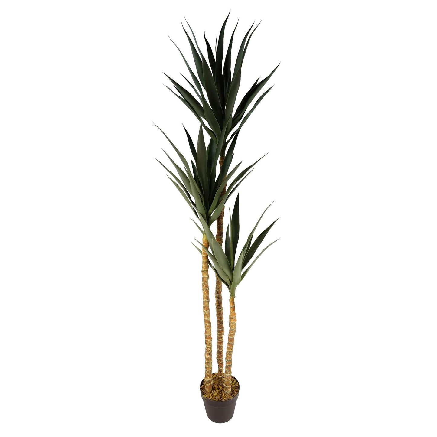 Stunning 170cm XL Triple Yukka Tree - Lifelike Artificial Tropical Plant - plants - express.com