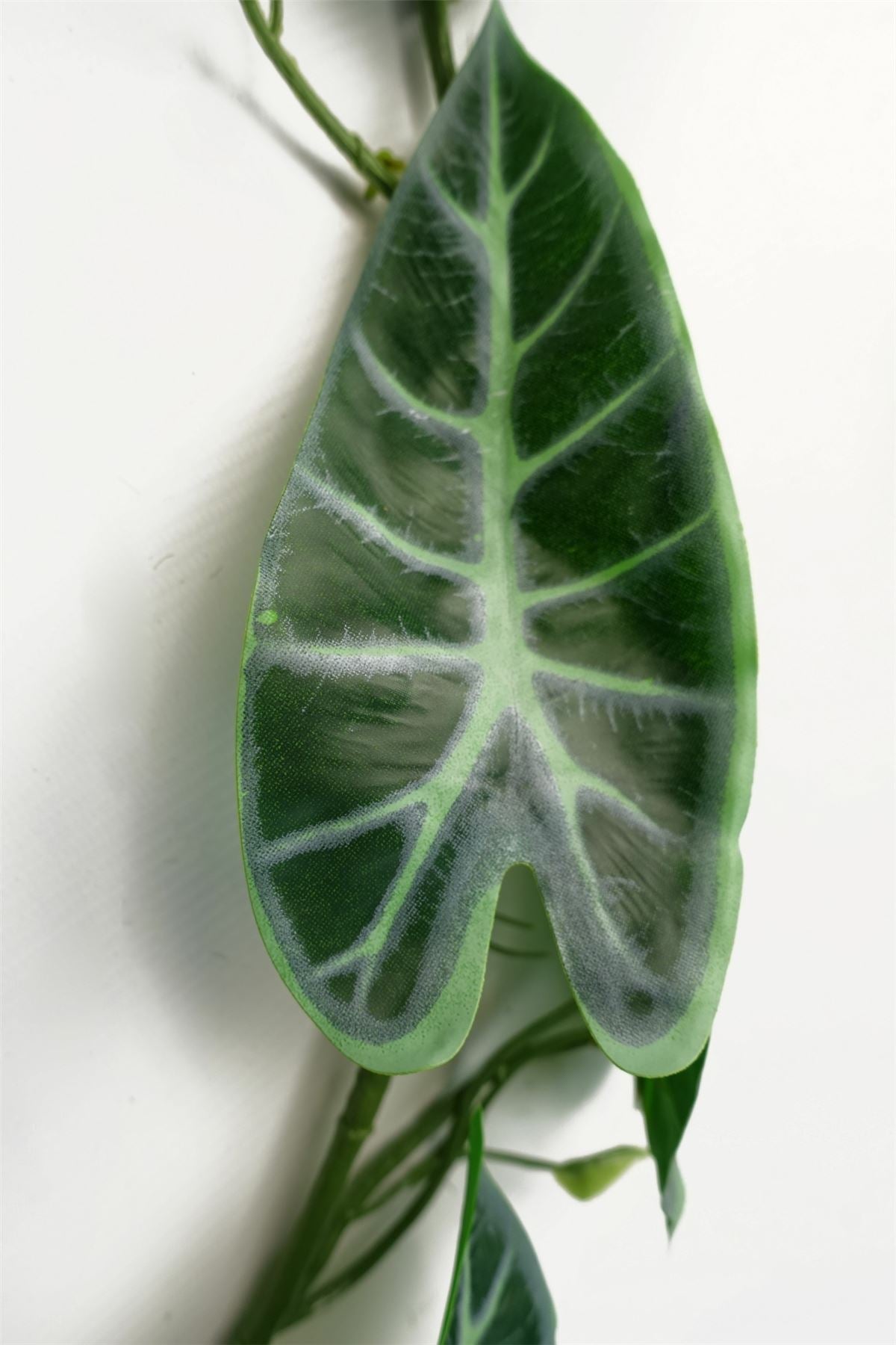 Stunning 180cm Amazonica Trailing Plant - Lifelike Greenery for Any Space! - plants - express.com