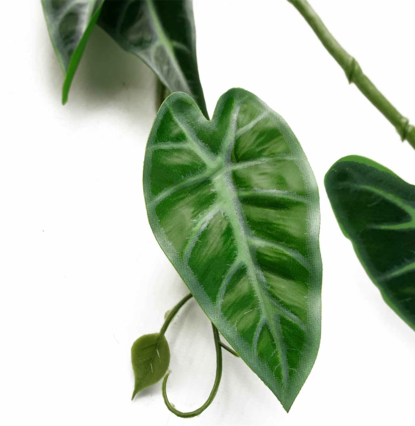 Stunning 180cm Amazonica Trailing Plant - Lifelike Greenery for Any Space! - plants - express.com