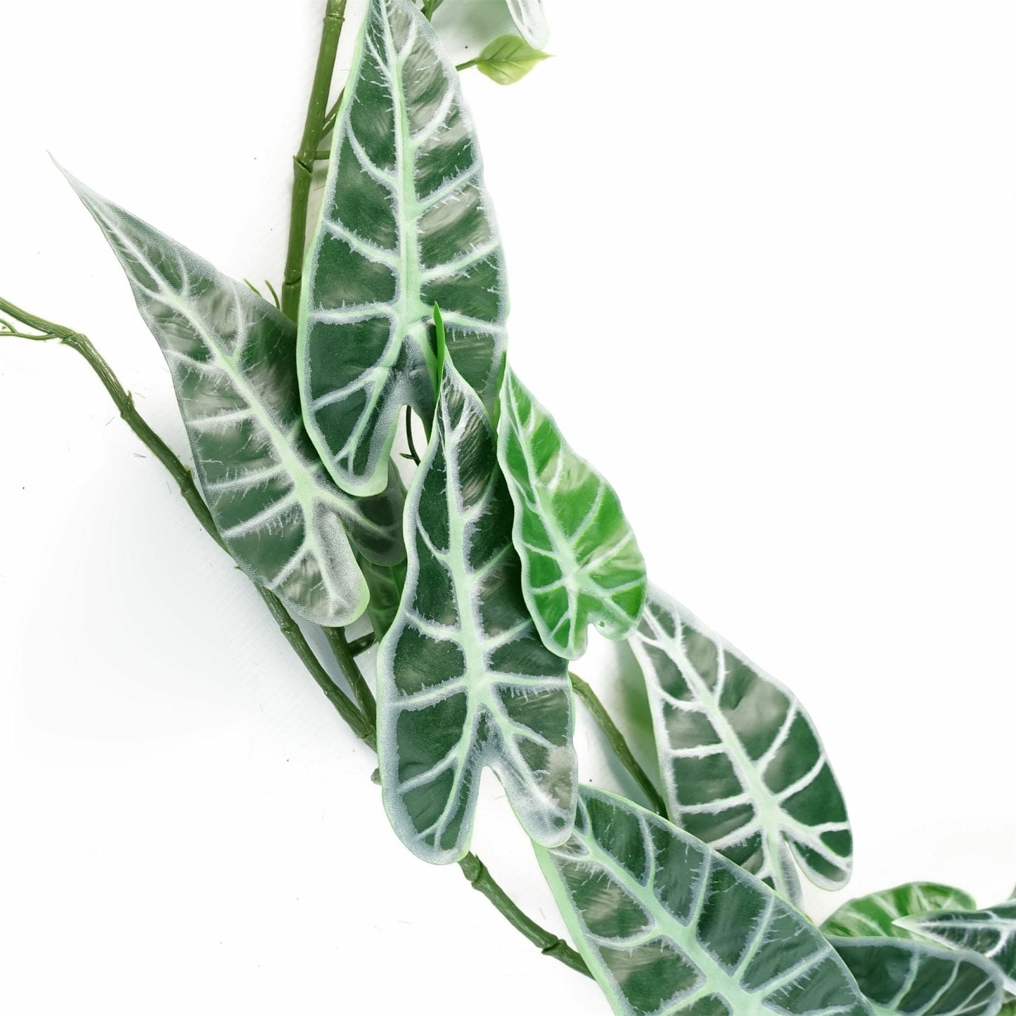 Stunning 180cm Amazonica Trailing Plant - Lifelike Greenery for Any Space! - plants - express.com