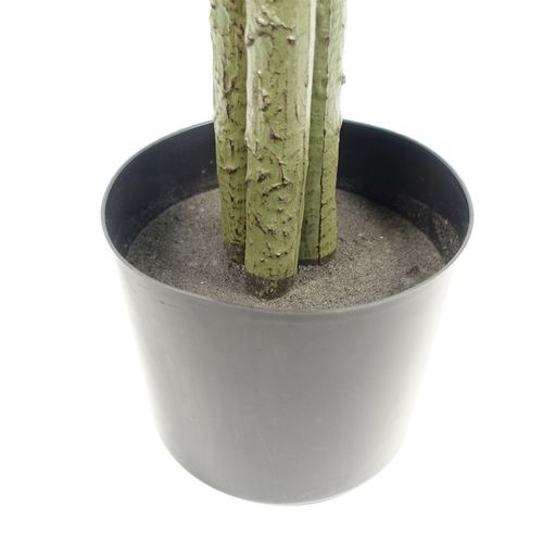 Stunning 180cm Artificial Ficus Tree - Lifelike Décor for Home & Office - plants - express.com