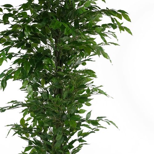Stunning 180cm Artificial Ficus Tree - Lifelike Décor for Home & Office - plants - express.com