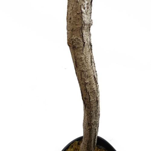 Stunning 180cm Realistic Olive Tree - Effortless Elegance for Your Space! - plants - express.com