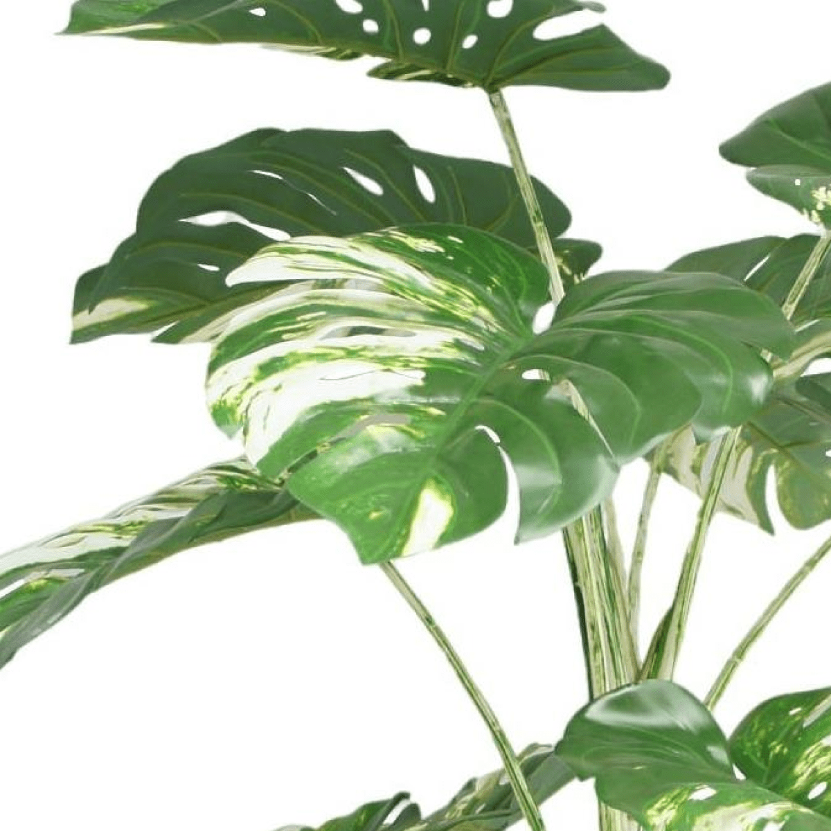 Stunning 180cm Variegated Monstera Artificial Tree - Tropical Elegance Indoors! - plants - express.com
