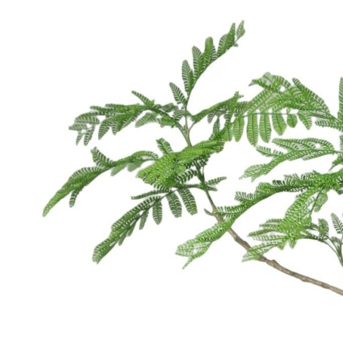 Stunning 240cm Realistic Artificial Jacaranda Tree – Maintenance - Free Elegance - plants - express.com