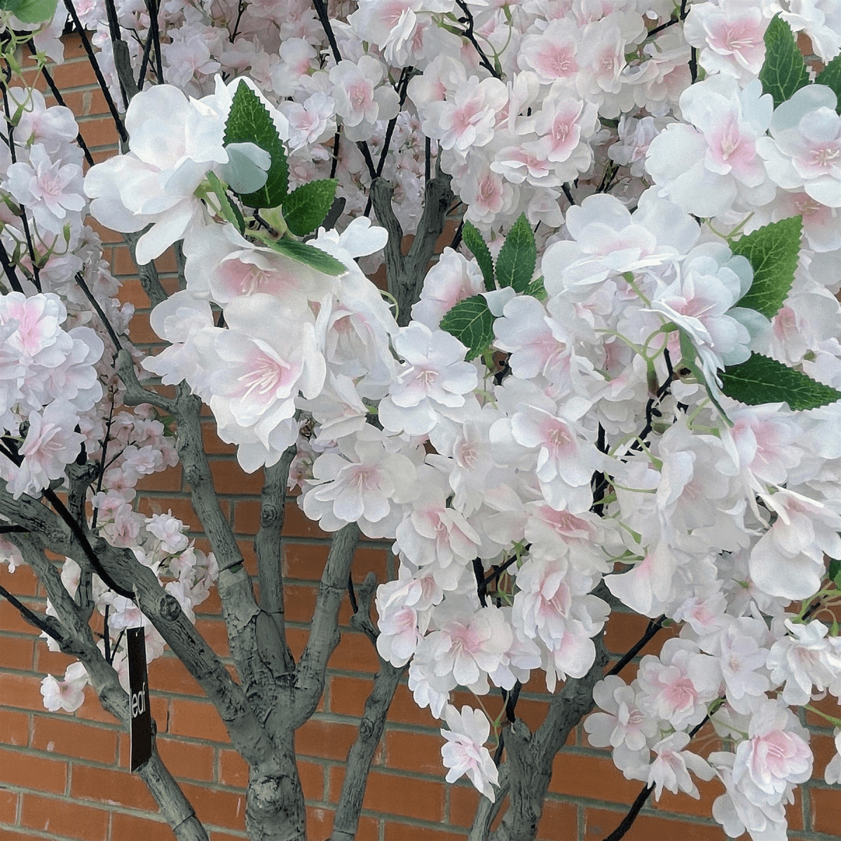 Stunning 260cm XXL Cherry Blossom Tree with Elegant Decorative Planter - plants - express.com