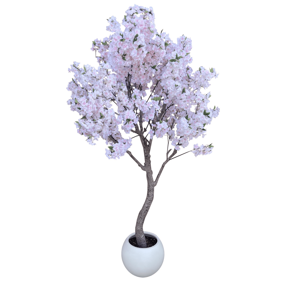 Stunning 260cm XXL Cherry Blossom Tree with Elegant Decorative Planter - plants - express.com