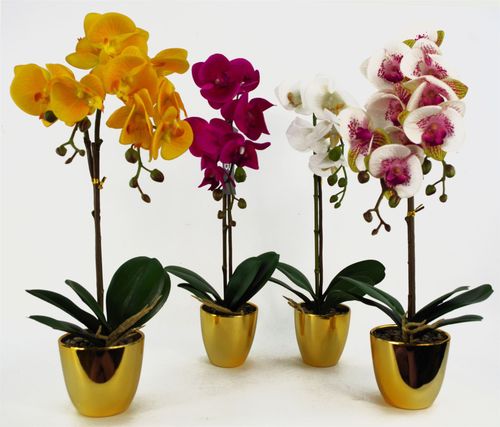 Stunning 46cm Dark Pink & Gold Real - Touch Orchid in Decorative Pot - plants - express.com