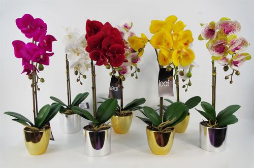 Stunning 46cm Dark Pink & Gold Real - Touch Orchid in Decorative Pot - plants - express.com