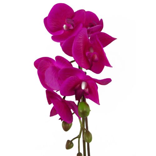 Stunning 46cm Dark Pink & Gold Real - Touch Orchid in Decorative Pot - plants - express.com