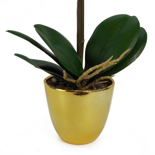Stunning 46cm Dark Pink & Gold Real - Touch Orchid in Decorative Pot - plants - express.com