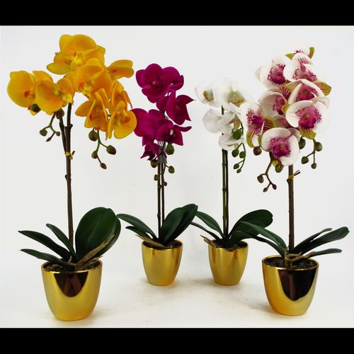 Stunning 46cm Real Touch White & Gold Orchid Plant in Decorative Pot - plants - express.com