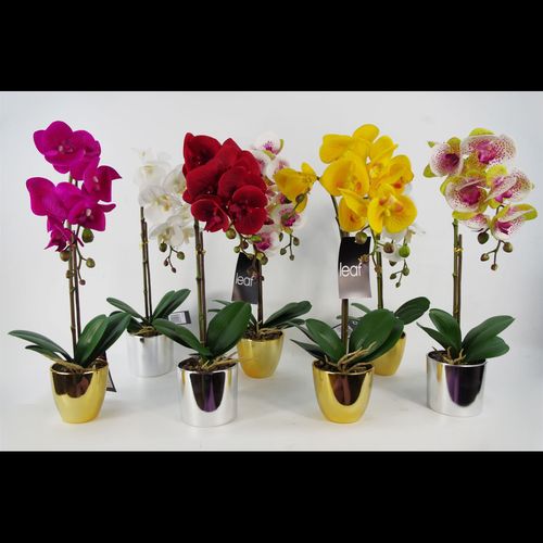 Stunning 46cm Real Touch White & Gold Orchid Plant in Decorative Pot - plants - express.com