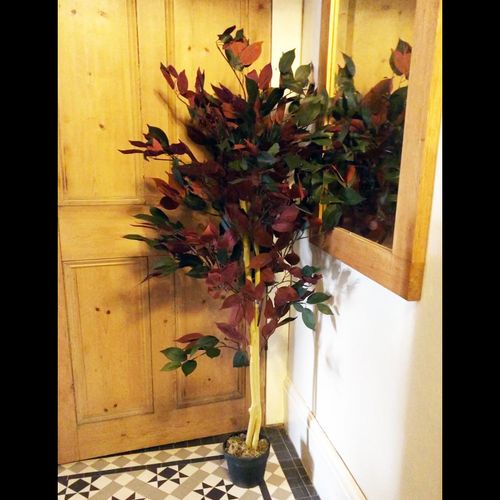 Stunning 4ft Red Ficus Tree in Gold Planter - Lifelike & Long - Lasting Decor - plants - express.com