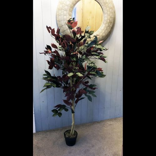 Stunning 4ft Red Ficus Tree in Gold Planter - Lifelike & Long - Lasting Decor - plants - express.com