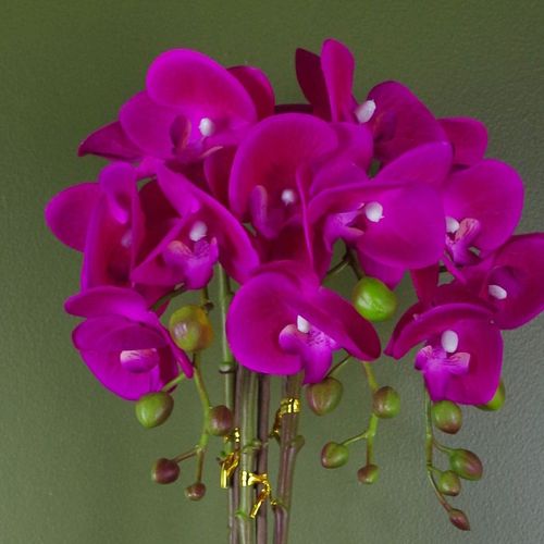 Stunning 52cm Dark Pink Orchid in Elegant Silver Pot - Real Touch Elegance - plants - express.com
