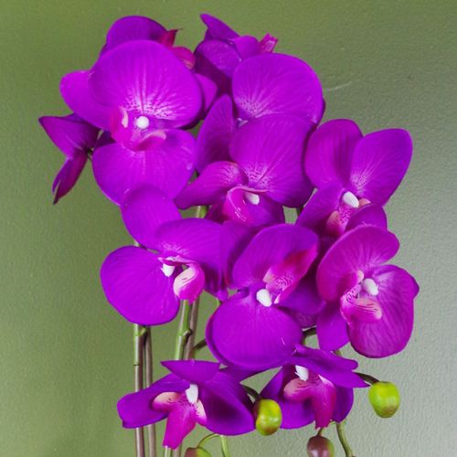 Stunning 52cm Purple & Gold Artificial Orchid - Real Touch, Decorative Pot - plants - express.com