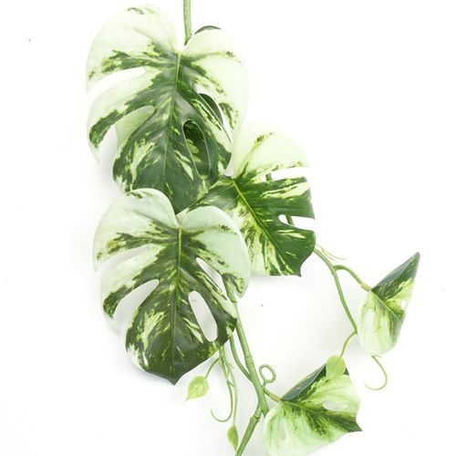 Stunning 6 - Pack 180cm Variegated Artificial Monstera Hanging Plants - plants - express.com