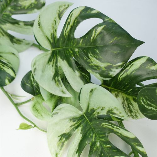 Stunning 6 - Pack 180cm Variegated Artificial Monstera Hanging Plants - plants - express.com