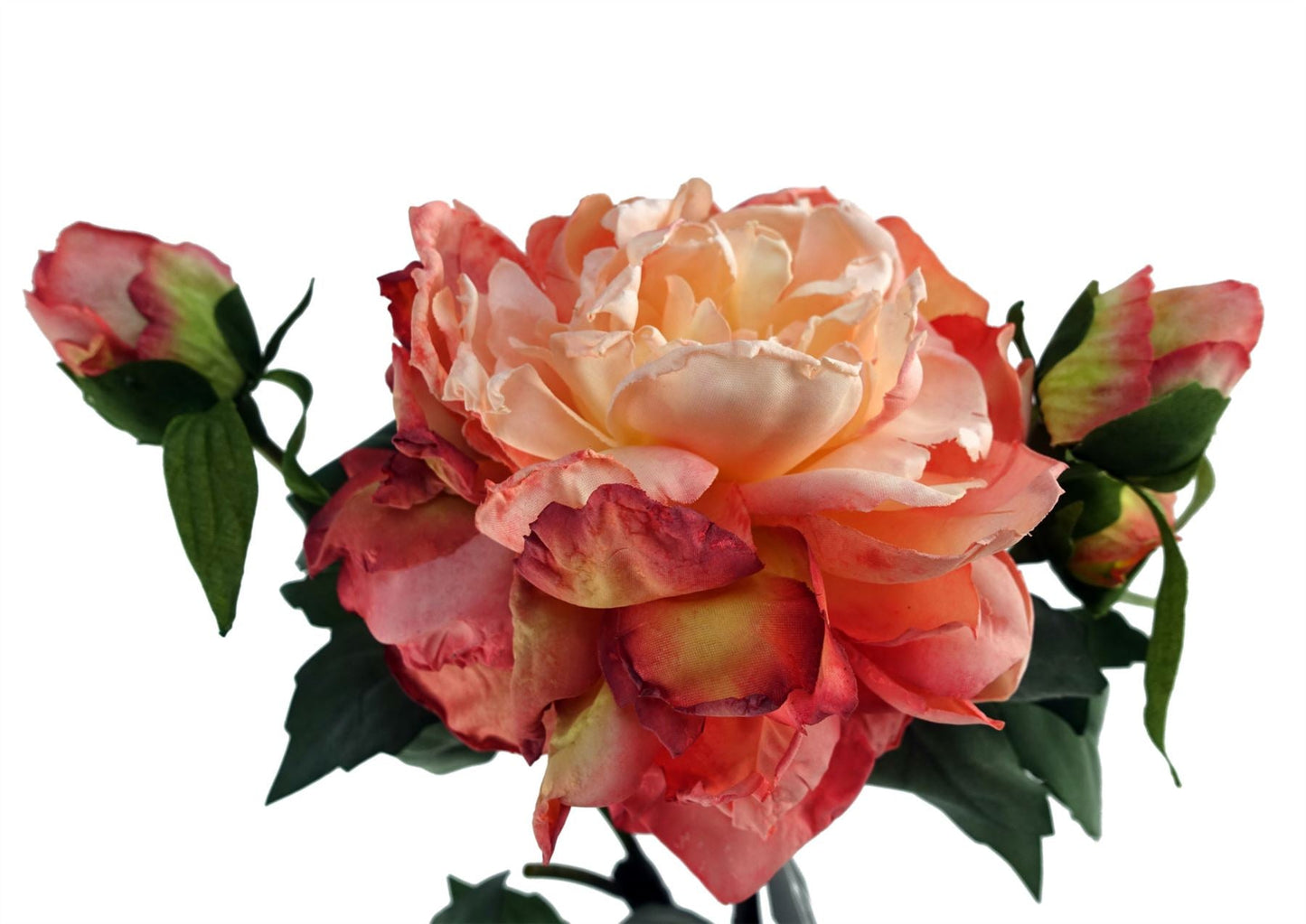 Stunning 6 - Pack Pink Peony Artificial Flowers with 18 Buds for Custom Arrangements - plants - express.com
