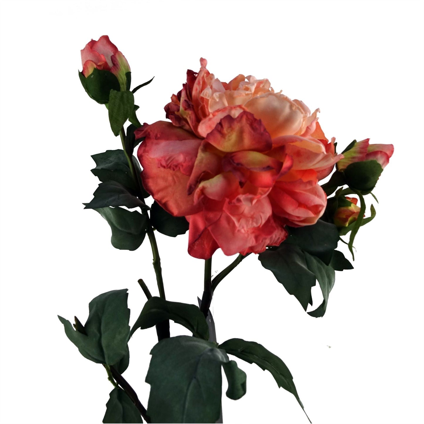 Stunning 6 - Pack Pink Peony Artificial Flowers with 18 Buds for Custom Arrangements - plants - express.com