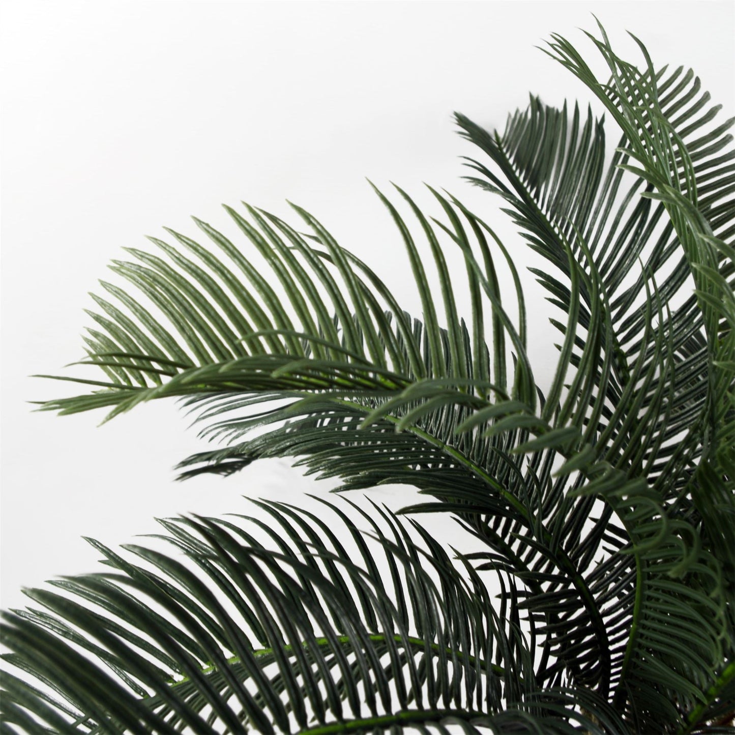 Stunning 60cm Artificial Cycas Palm - Perfect for Modern Tropical Décor! - plants - express.com
