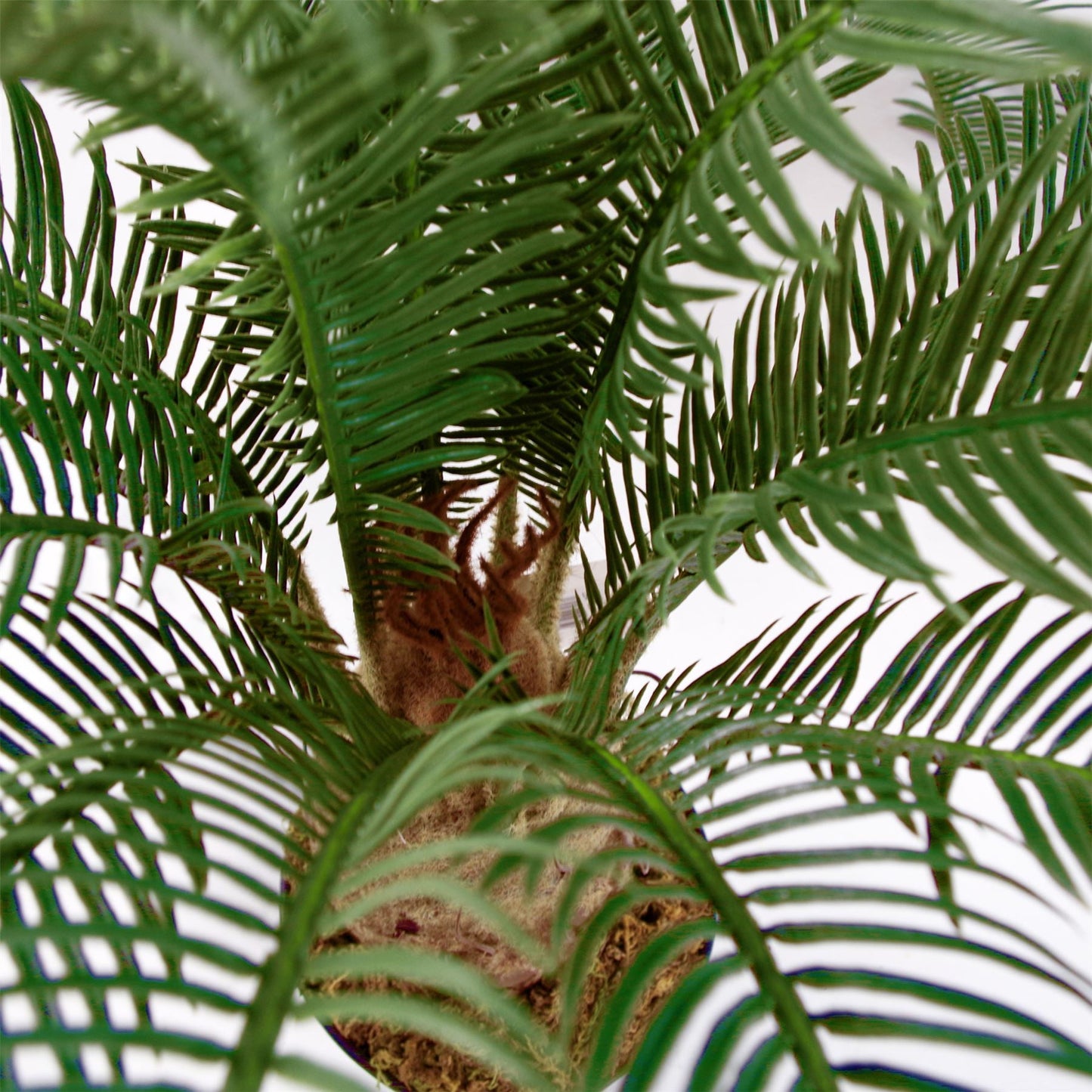 Stunning 60cm Artificial Cycas Palm - Perfect for Modern Tropical Décor! - plants - express.com