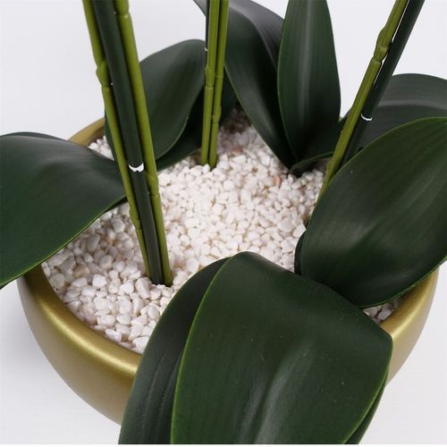 Stunning 60cm Artificial Orchid in Elegant Gold Ceramic Planter - plants - express.com