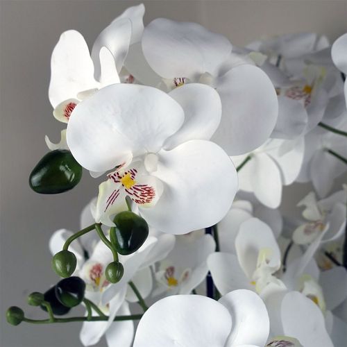 Stunning 60cm Orchid in Elegant White Marble Ceramic Planter - Botanik - plants - express.com