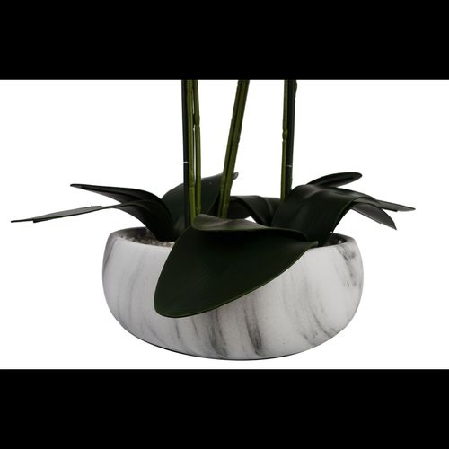 Stunning 60cm Orchid in Elegant White Marble Ceramic Planter - Botanik - plants - express.com
