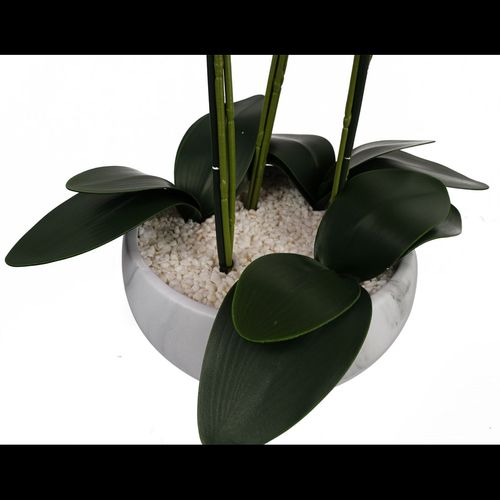 Stunning 60cm Orchid in Elegant White Marble Ceramic Planter - Botanik - plants - express.com