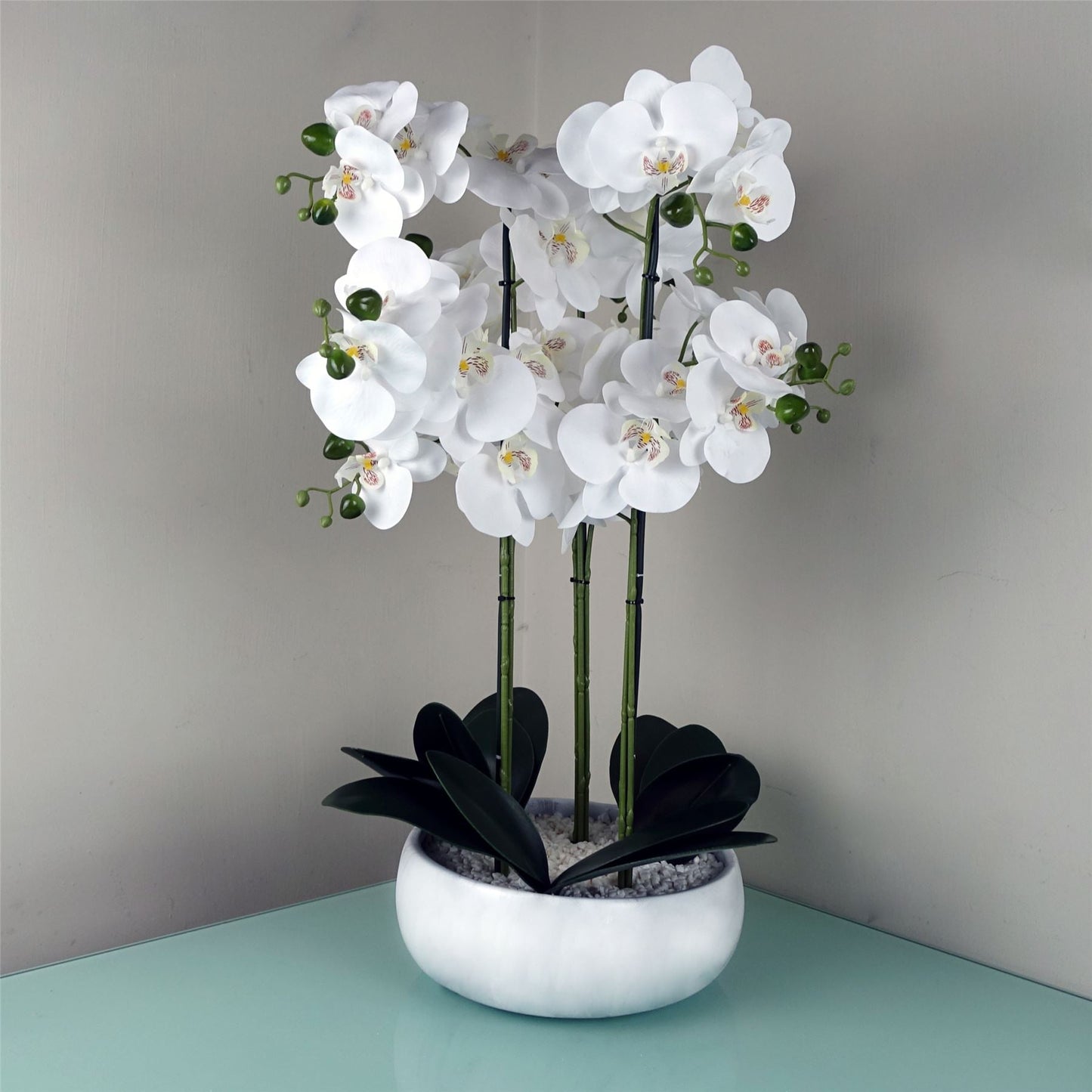Stunning 60cm Orchid in Elegant White Marble Ceramic Planter - Botanik - plants - express.com