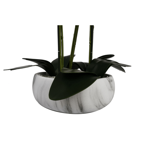 Stunning 60cm Pink Orchid in Elegant Marble Ceramic Planter – Ready to Display! - plants - express.com
