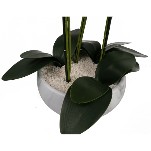 Stunning 60cm Pink Orchid in Elegant Marble Ceramic Planter – Ready to Display! - plants - express.com