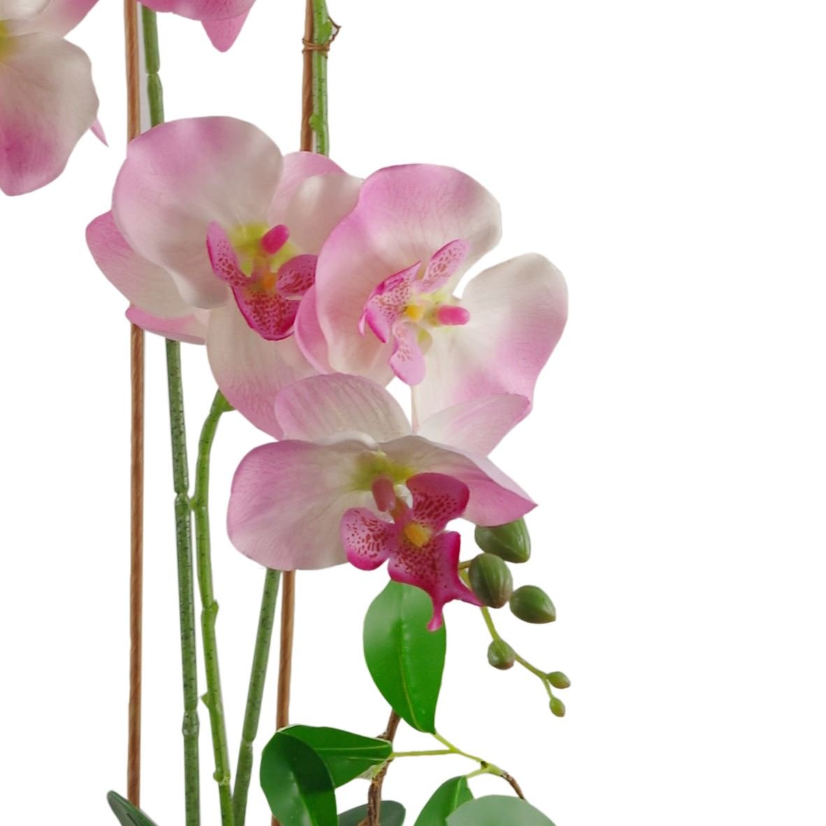 Stunning 65cm Light Pink Artificial Orchid in Elegant Glazed Planter - plants - express.com