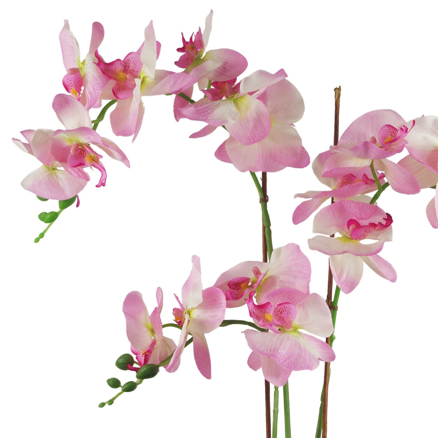 Stunning 65cm Light Pink Artificial Orchid in Elegant Glazed Planter - plants - express.com