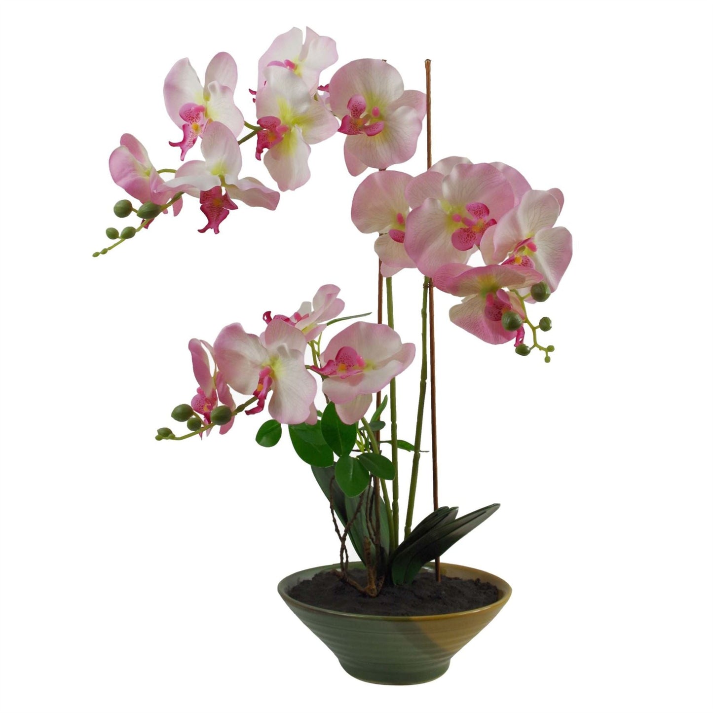 Stunning 65cm Light Pink Artificial Orchid in Elegant Glazed Planter - plants - express.com