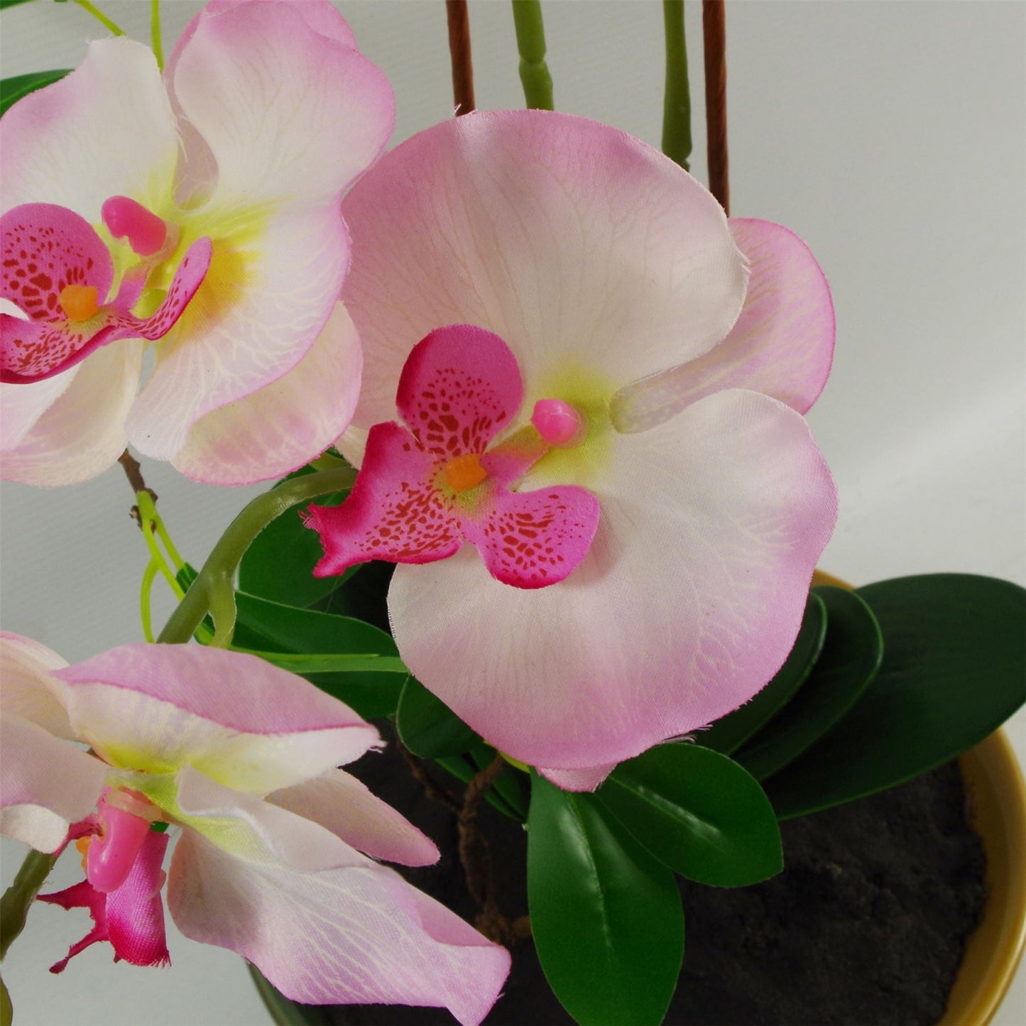 Stunning 65cm Light Pink Artificial Orchid in Elegant Glazed Planter - plants - express.com