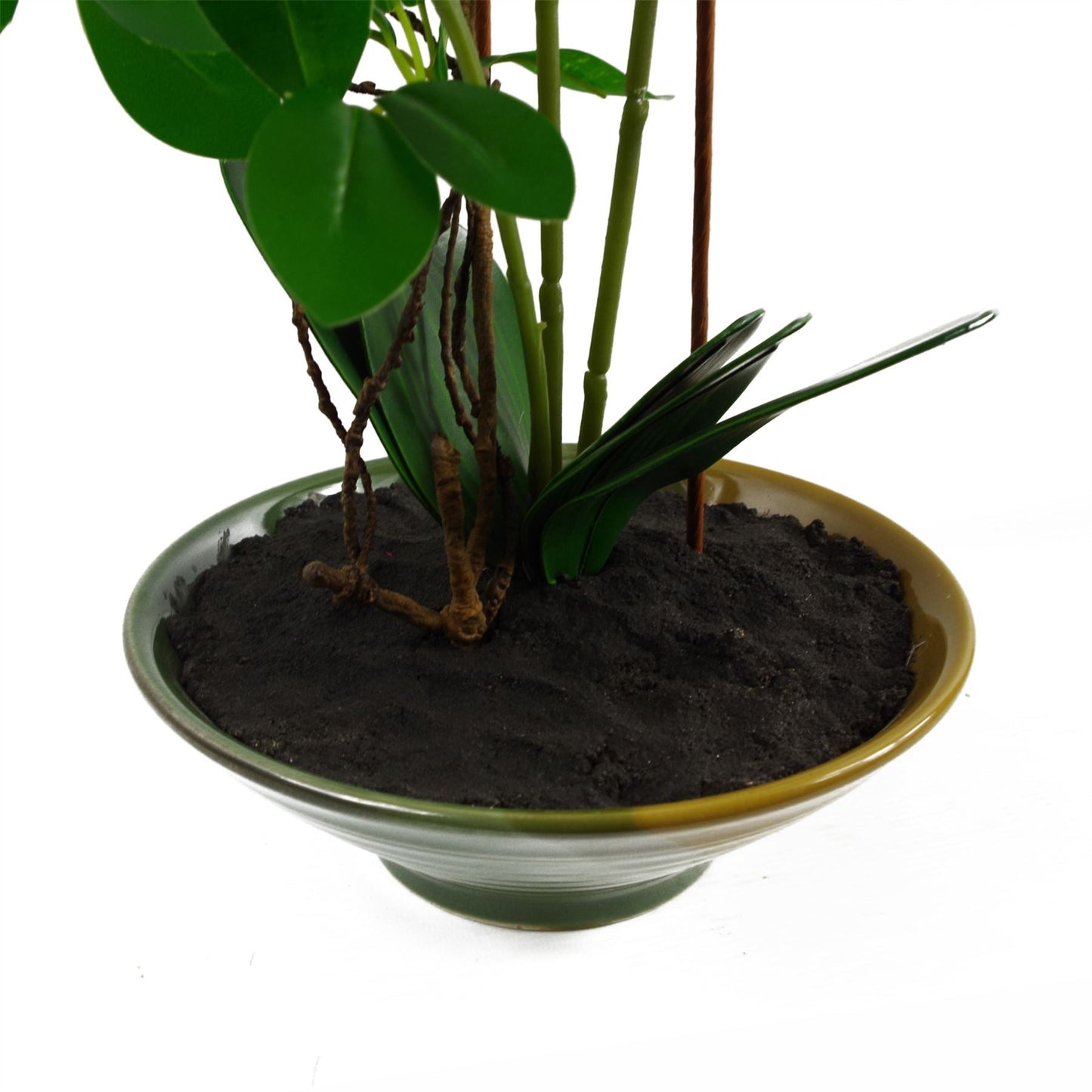 Stunning 65cm Light Pink Artificial Orchid in Elegant Glazed Planter - plants - express.com