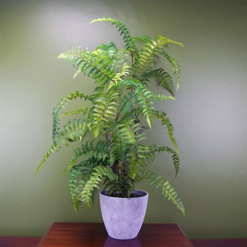 Stunning 70cm Faux Tree Fern in Elegant Decorative Planter - Instant Greenery! - plants - express.com