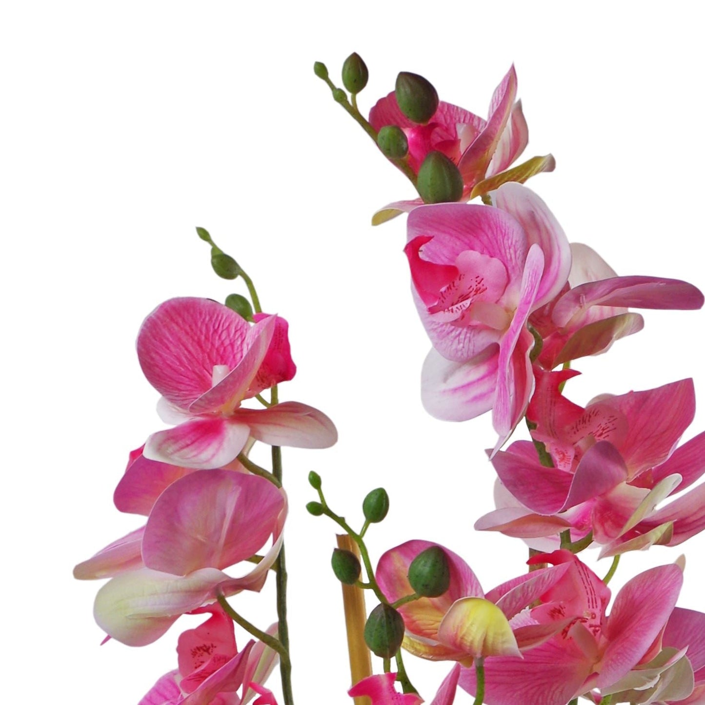 Stunning 70cm Light Pink Artificial Orchid in Elegant Black Ceramic Planter - plants - express.com
