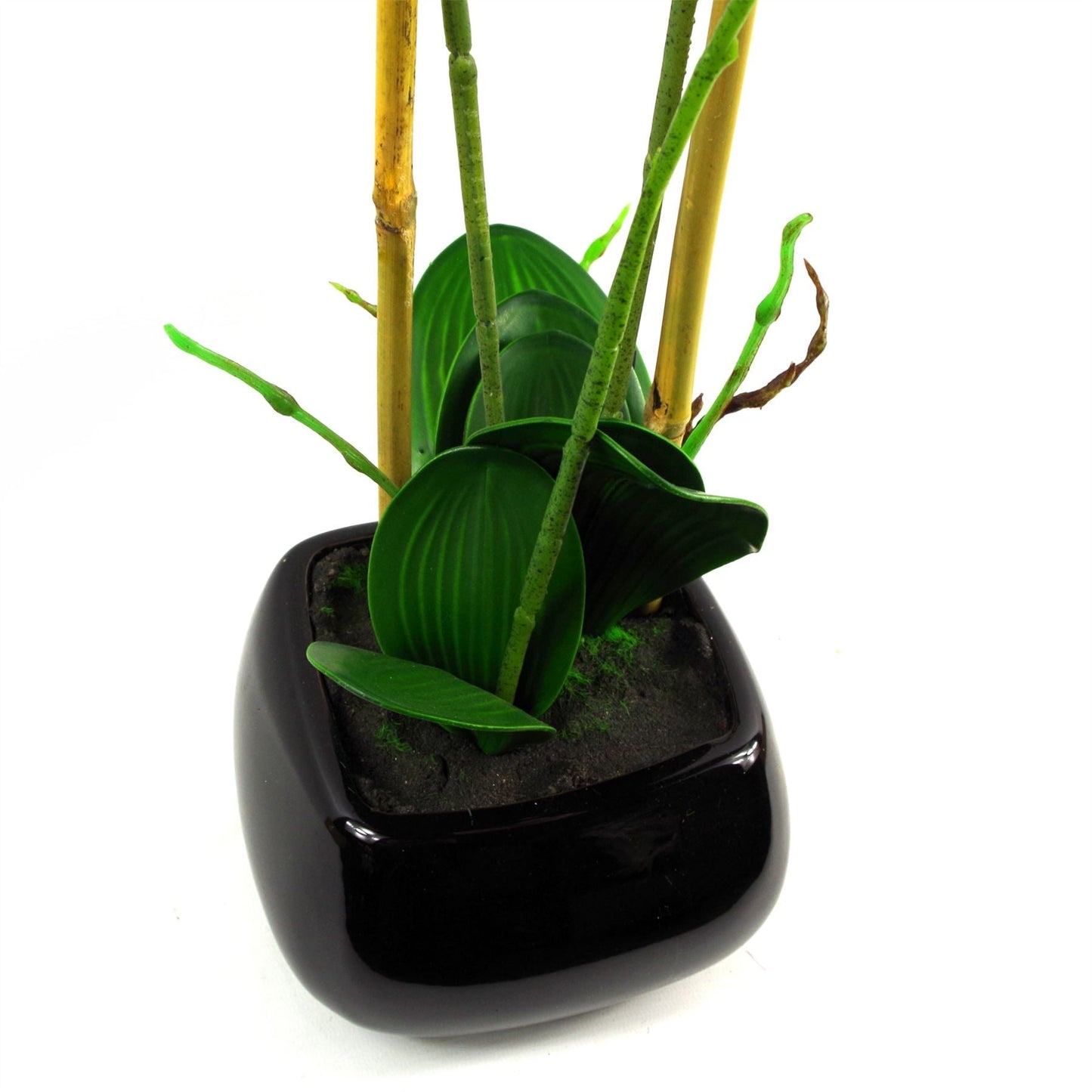 Stunning 70cm Light Pink Artificial Orchid in Elegant Black Ceramic Planter - plants - express.com