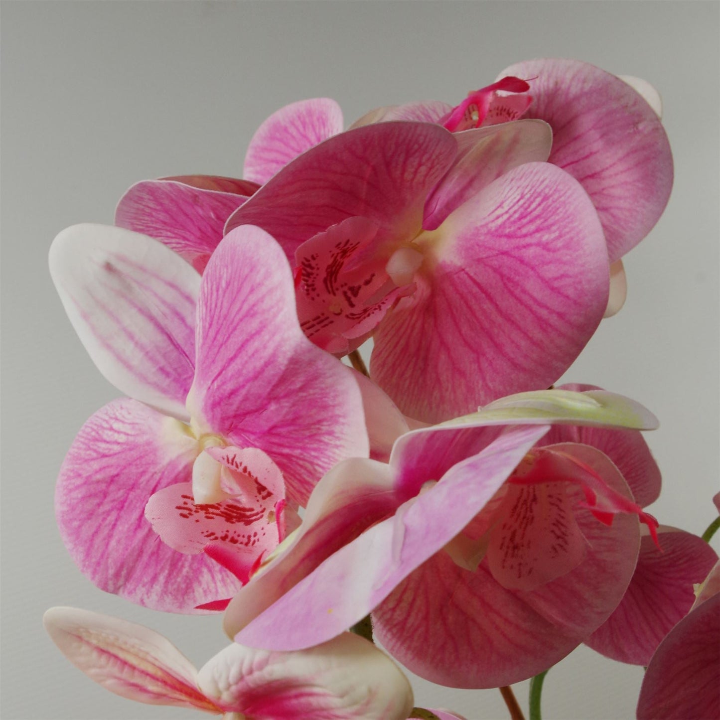 Stunning 70cm Light Pink Artificial Orchid in Elegant Black Ceramic Planter - plants - express.com