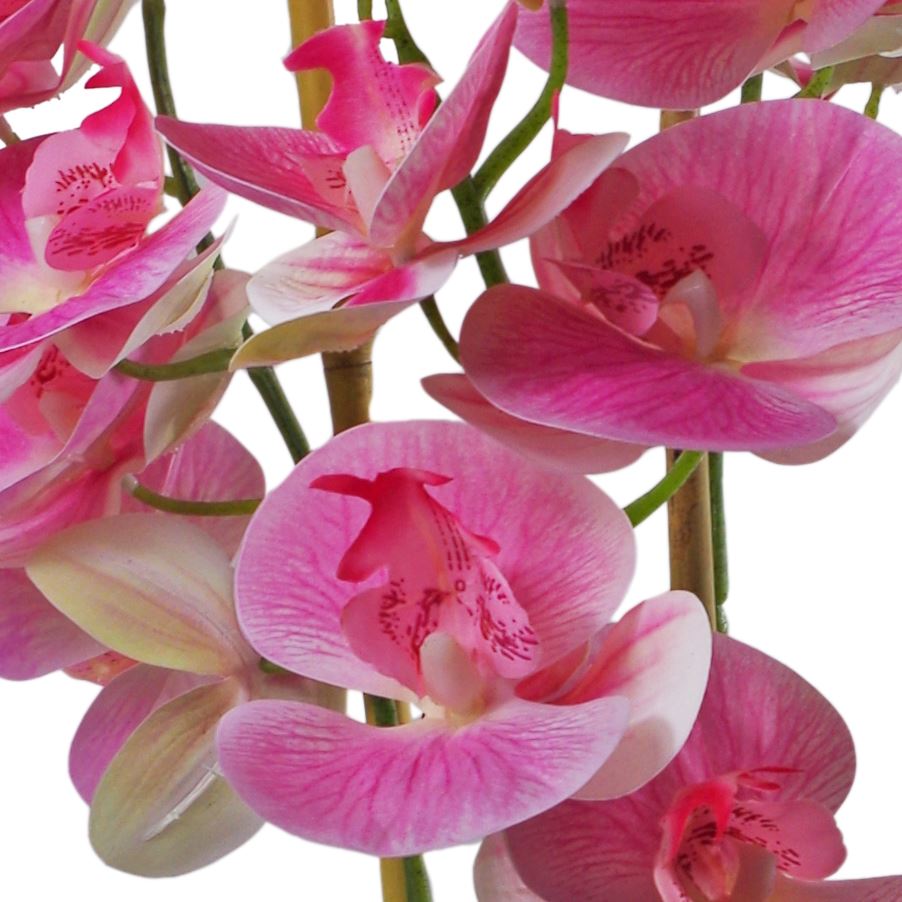 Stunning 70cm Light Pink Artificial Orchid in Elegant Black Ceramic Planter - plants - express.com