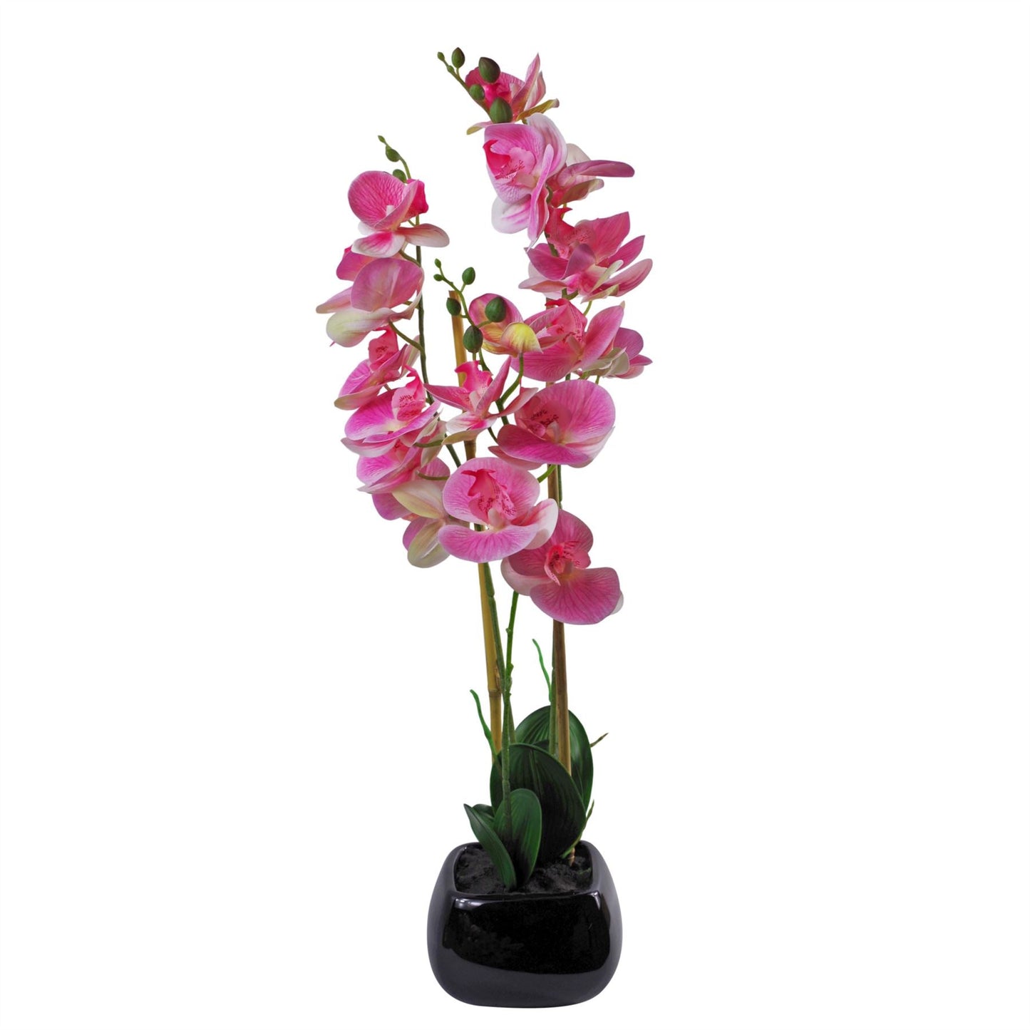Stunning 70cm Light Pink Artificial Orchid in Elegant Black Ceramic Planter - plants - express.com