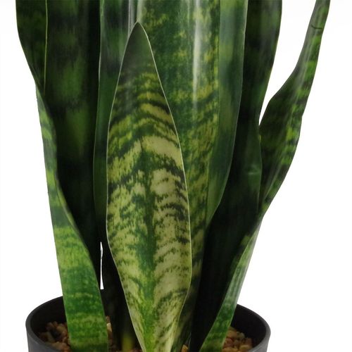 Stunning 70cm Sansevieria Zeylanica - Lifelike Faux Plant for Any Space - plants - express.com