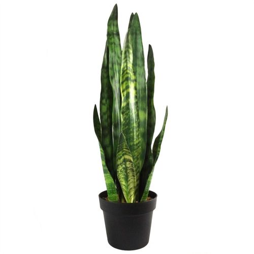 Stunning 70cm Sansevieria Zeylanica - Lifelike Faux Plant for Any Space - plants - express.com