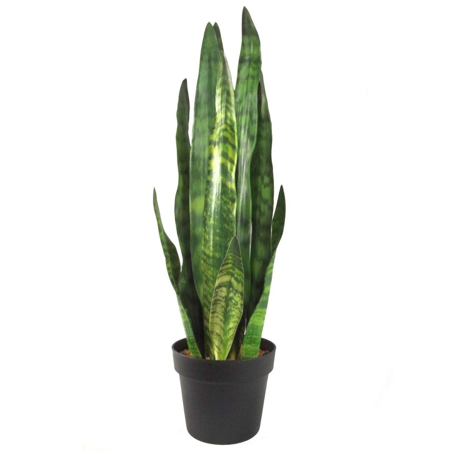 Stunning 70cm Sansevieria Zeylanica - Lifelike Faux Plant for Any Space - plants - express.com