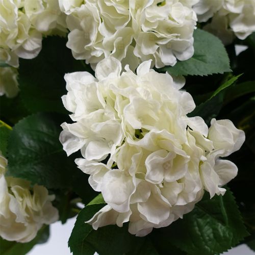 Stunning 70cm White Silk Hydrangea Bush in a Stylish Potted Display - plants - express.com