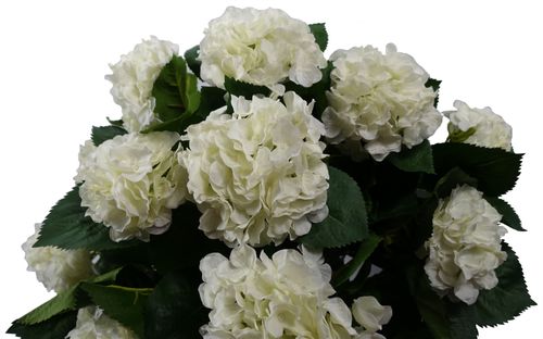 Stunning 70cm White Silk Hydrangea Bush in a Stylish Potted Display - plants - express.com